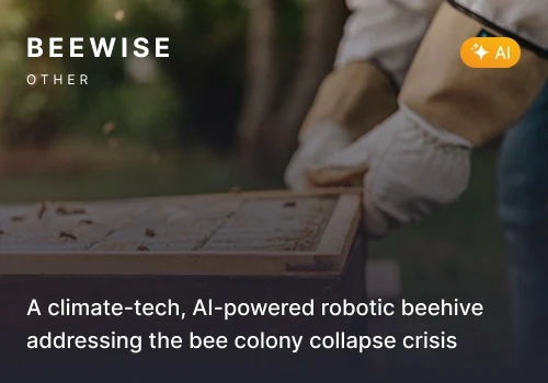 Team extension for Beewise