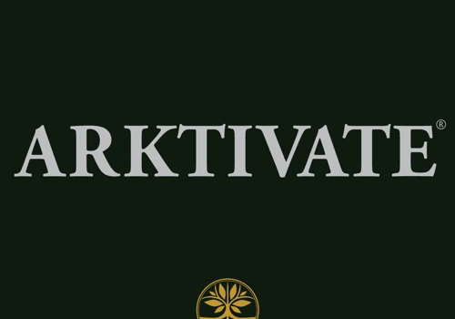 Getting the SEO Boost that Activated Arktivate