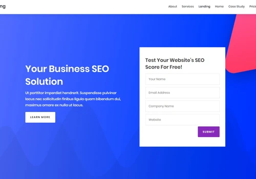SEO Optimization Landing page