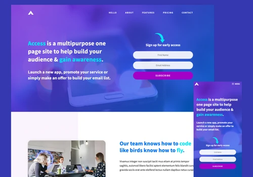 WordPress Theme Design & Development
