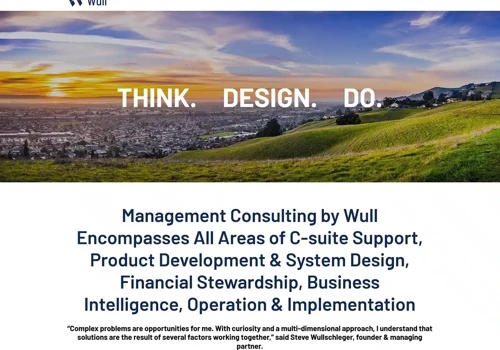 Brand building strategies, website content, design