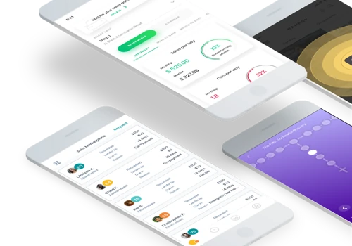 Product Manager Consultant