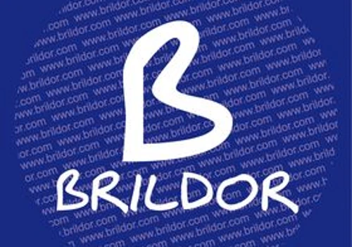 CRO Audit  - Brildor