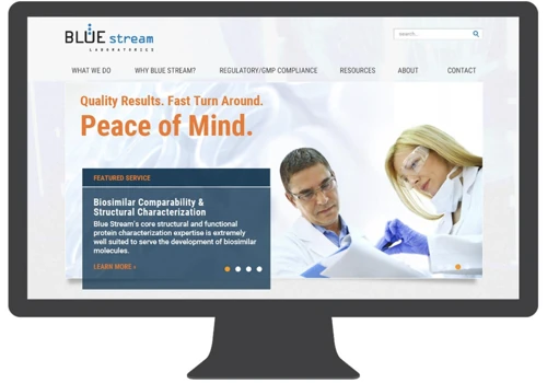 Web Design and Digital Marketing for Blue Stream Labs