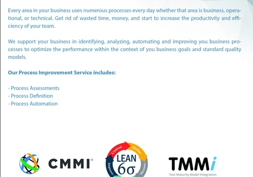 SW Process Consulting