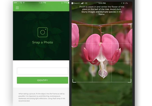 Plant Snap