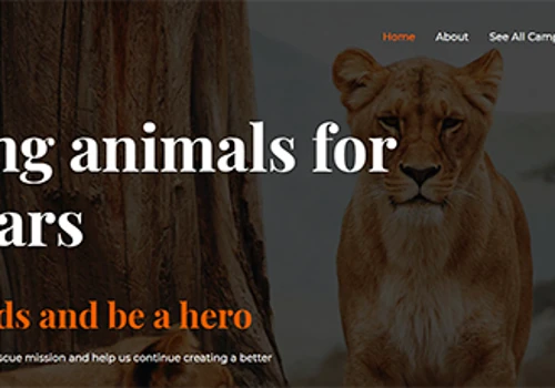 Animal Rescue Org