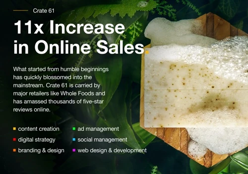 11x Increase in Online Sales