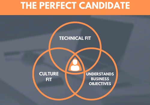 The Perfect Candidate