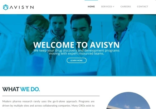 Avisyn