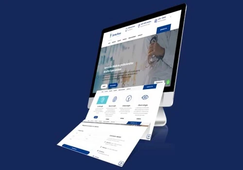 Desarrollo web profesional