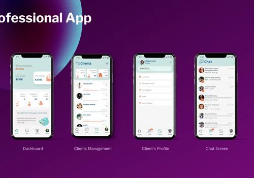 Mental Health Professional App
