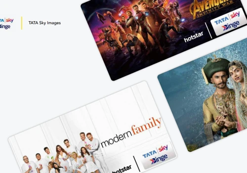 Tata Sky Binge