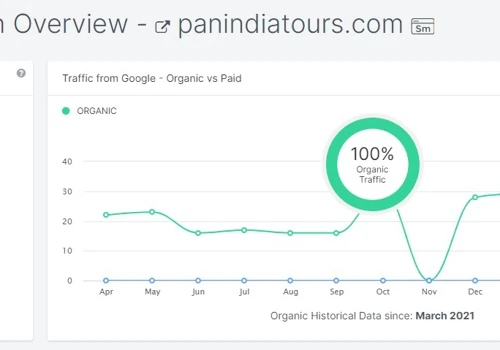 Excellence in SEO, SMM, and Website Development