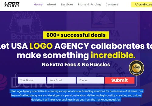 USA Logo Agency Best Web Design Agency ( SEO)