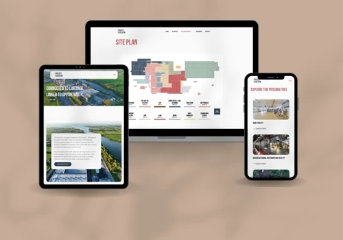 Project Askeaton Website & Dataroom