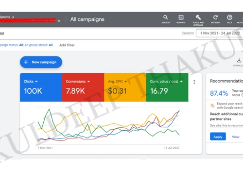 Google Shopping and Remarketing Ads management