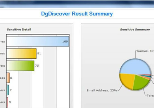 DgDiscover File System