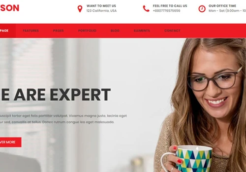 Corporate Company Website Development