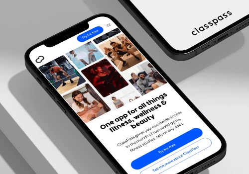 Web and native solutions for a fitness startup