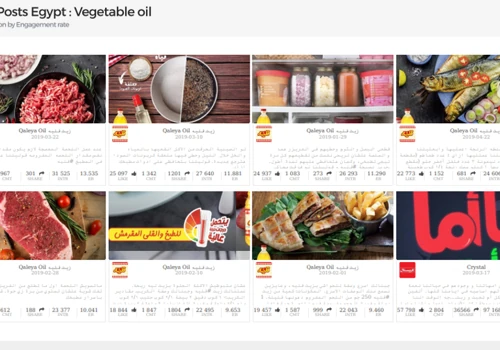 Social Media Analytics