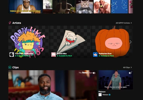 Giphy wordpress plugin development