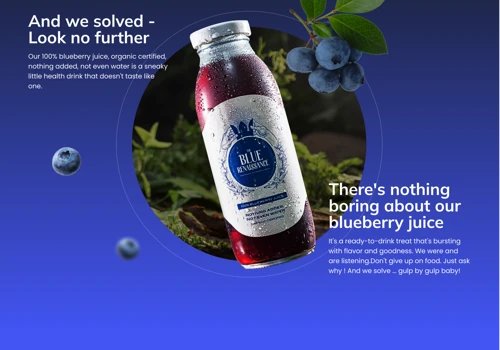 The Blue Renaissance - e-Commerce Website