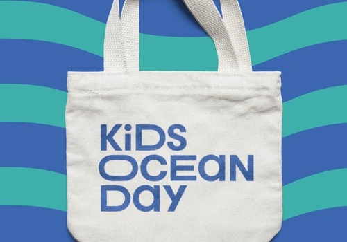 Branding an Environmental Nonprofit