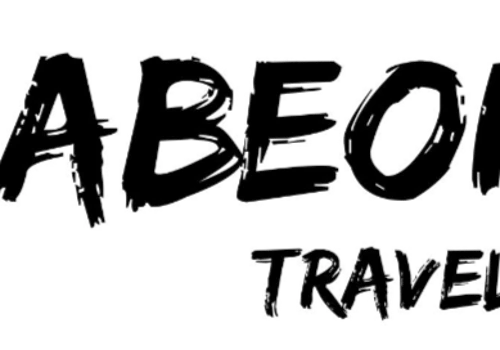 SEO & Link Building Services for Abeonaz