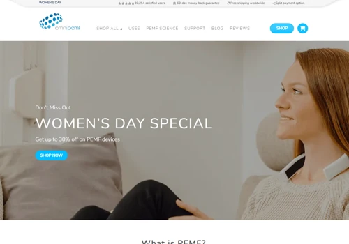 Website translation for an International Company
