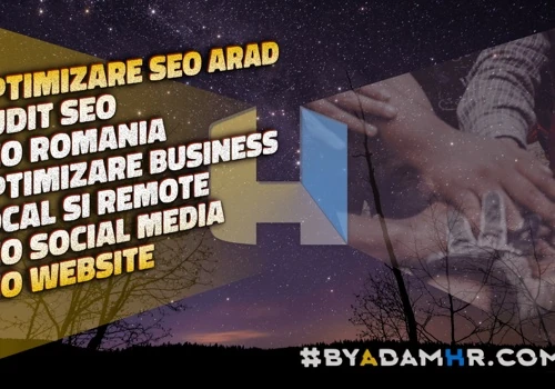 Optimizare SEO Arad local si remote