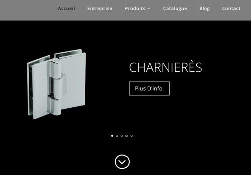 Wordpress website creation