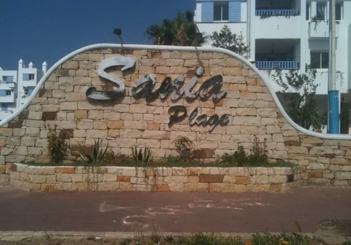 Sania plage web development and SEO