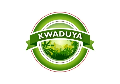 Kwaduya Brand Development