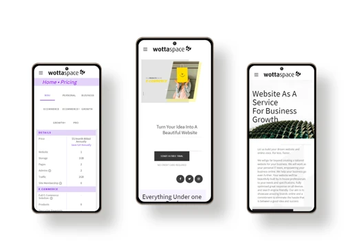 Website Design and Development
