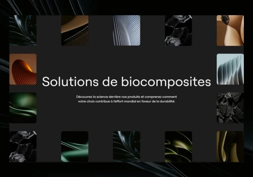 Saproterra — Website Development
