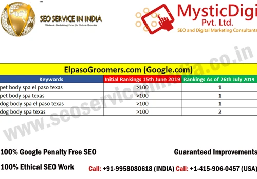 Elpaso Groomers - SEO Rankings