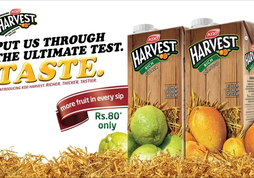 KDD Harvest