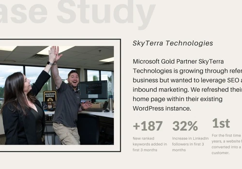Website and Digital Marketing:SkyTerra Technology