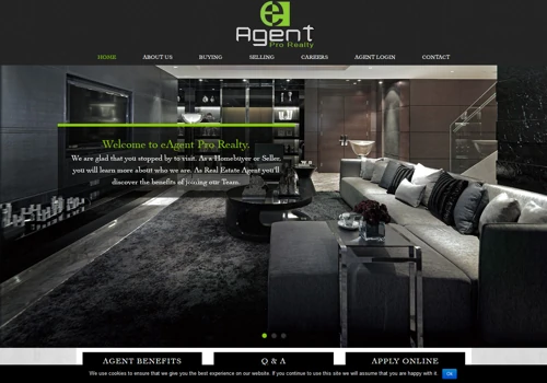 Wordpress website development