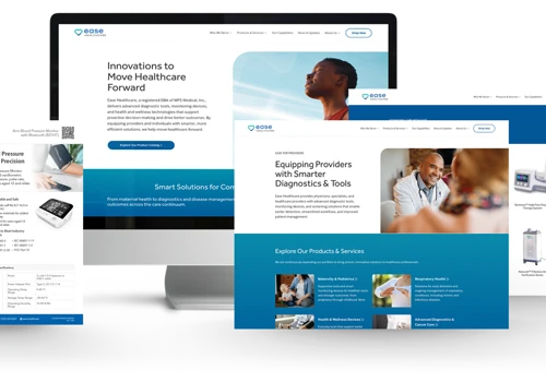 Brand Development & Product Launch Framework