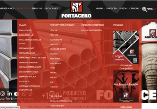 Digital Presence & Strategic Web Architecture.