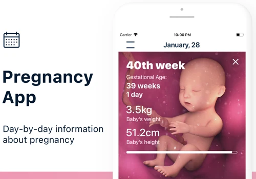 Stork — Pregnancy Mobile App