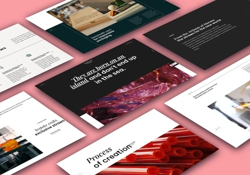 Product Website Design and Development