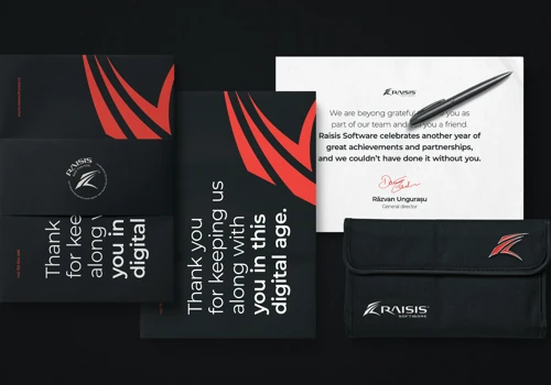Raisis Software - Rebranding a software development company