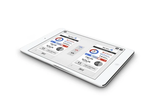 Mobile App Development for Electionary