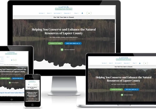 eCommerce Website Redesign / Logo Redesign