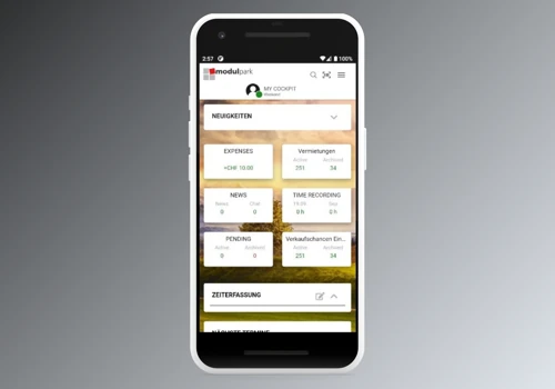 Mobile App for management of a company