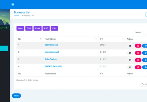 Accounting Software