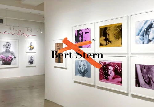 WordPress Website for Bert Stern